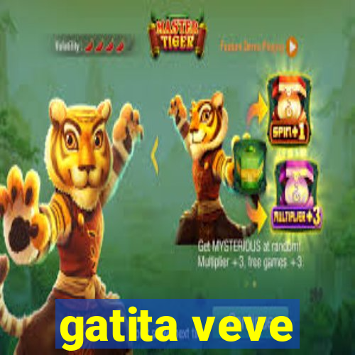 gatita veve